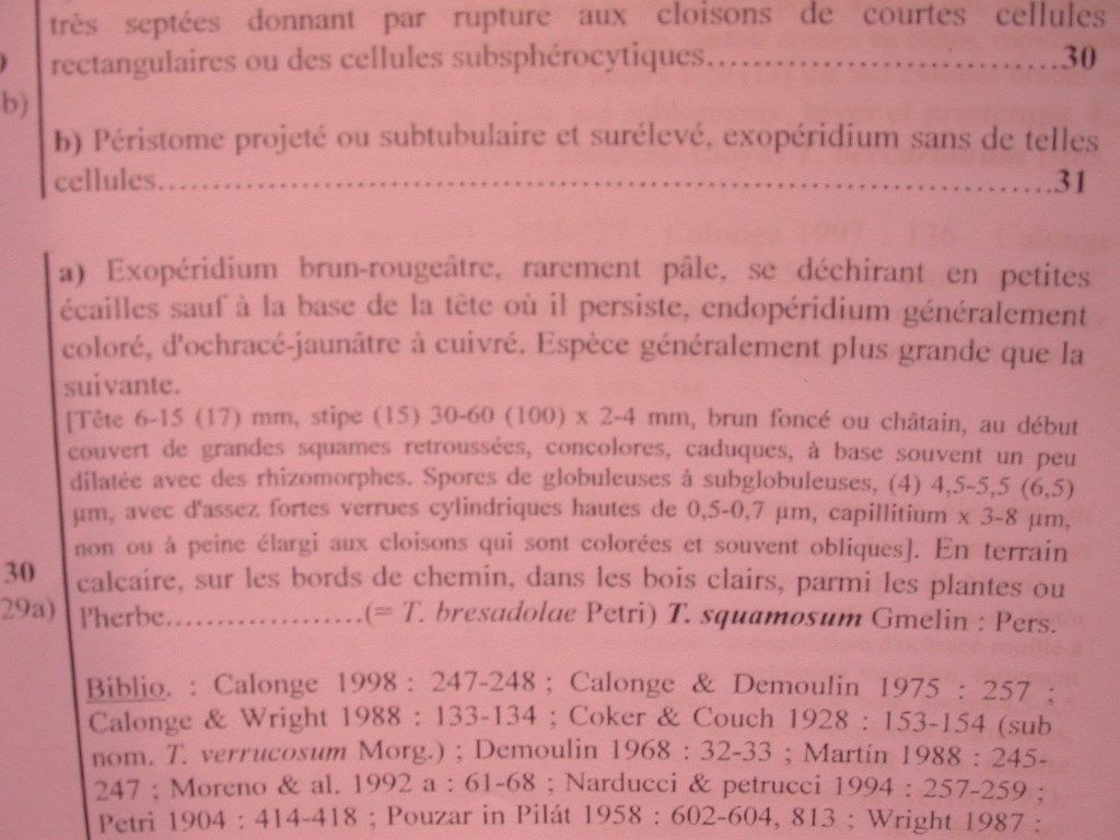 I quiz continuano....!!! - Tulostoma squamosus